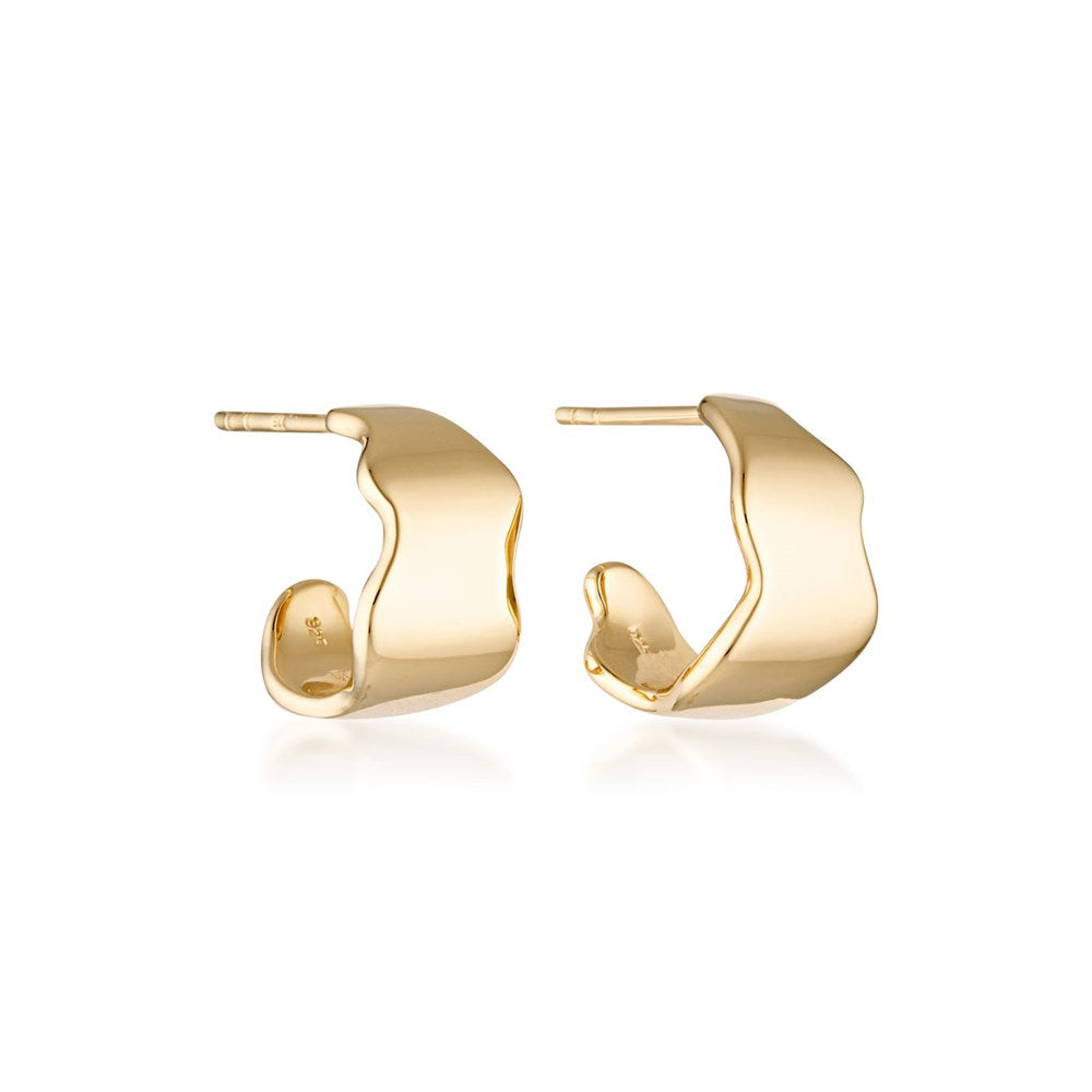 Motion Hoop Earrings